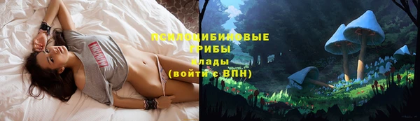 ALPHA-PVP Переславль-Залесский