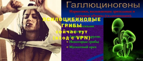 дживик Дмитриев