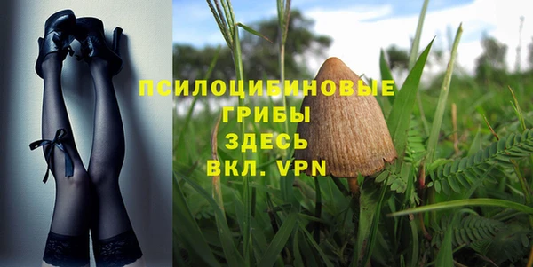 дживик Дмитриев