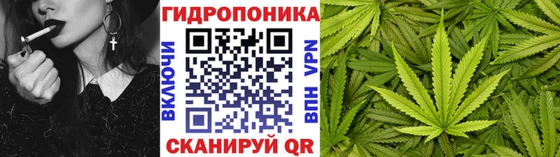 Конопля семена Октябрьск